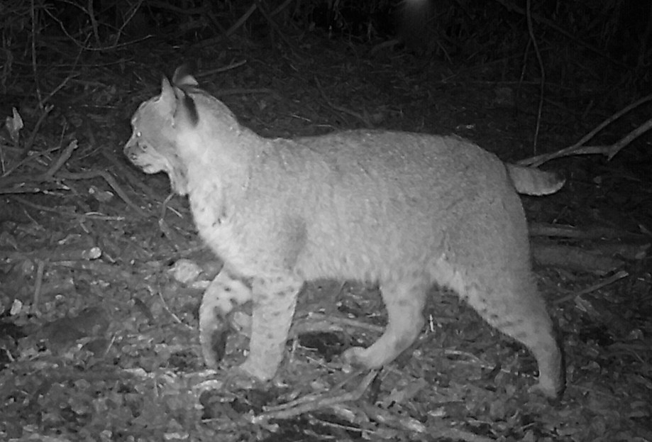 0329:022616:43F:0000:CAMERA1:5