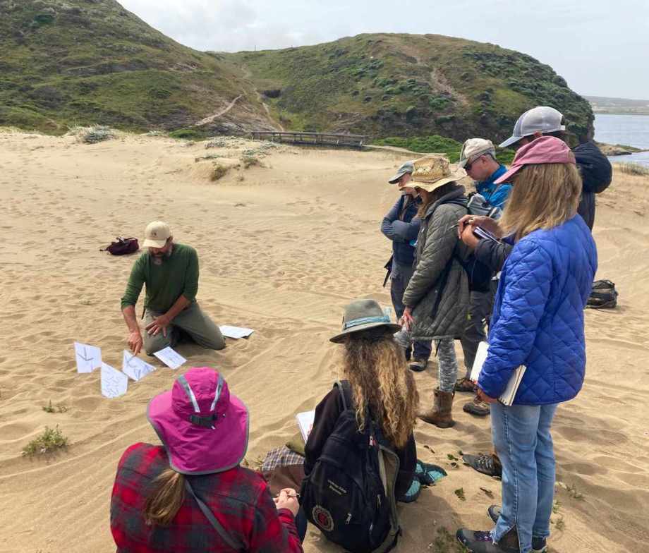 The School eval group adjusted